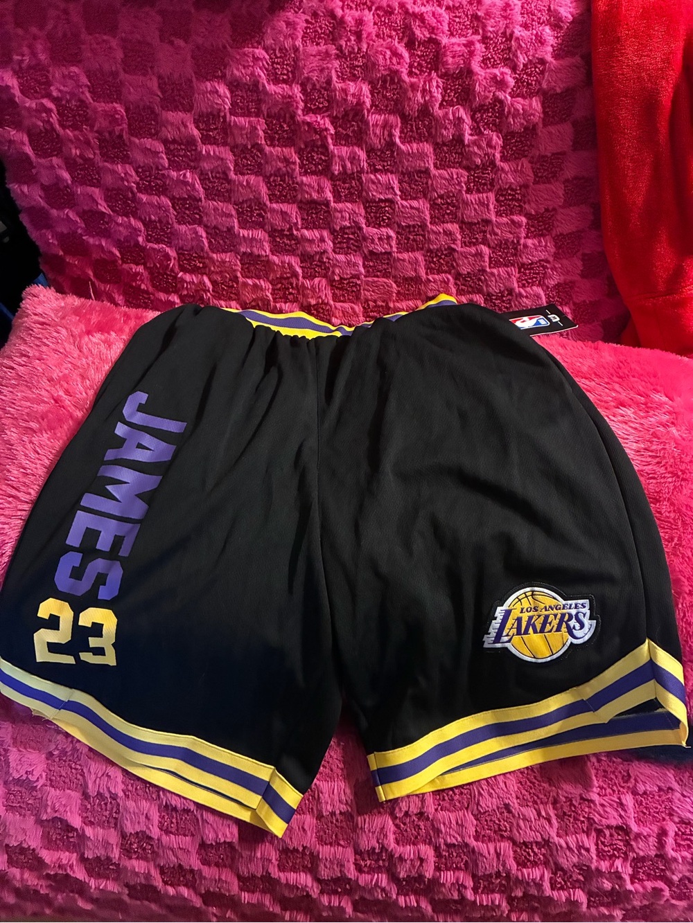 NBA Los Angeles Lakers Black, Purple & Yellow Men's Athletic Shorts